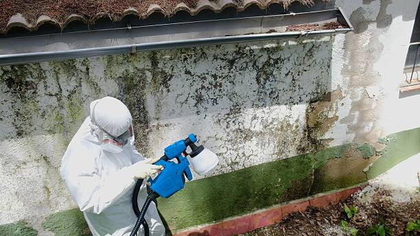 Top rated local Attic Mold Remediation specialists in Glen Hope, PA